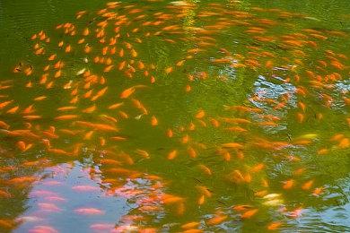 《我的世界：地下城》第一赛季正式上线 免费更新